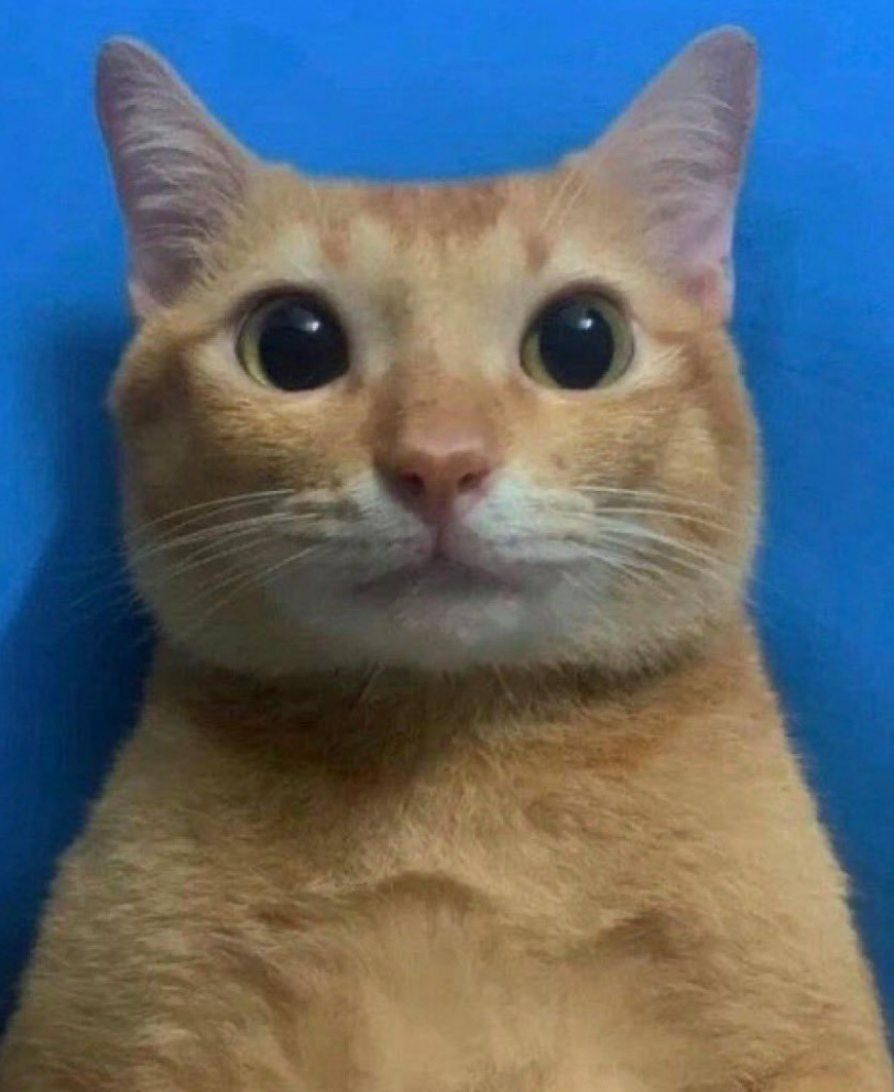 Description of image